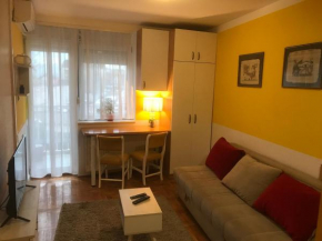 Tina sajam studio, Novi Sad